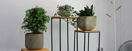 樂刷移卡科技 | 1400㎡深圳灣科技生態(tài)園企業(yè)辦公室裝修工程實錄