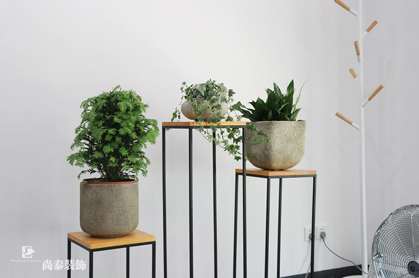 深圳灣科技生態(tài)園,樂(lè)刷移卡科技,尚泰裝飾集團(tuán) 深圳灣科技生態(tài)園,樂(lè)刷移卡科技,尚泰裝飾集團(tuán)