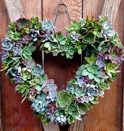 辦公室裝修中綠植和軟裝的搭配